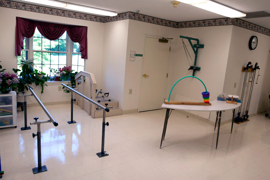 The Physical Therapy Room